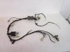 17 X-Pro Hawk 250 Carb Main Wiring Harness *PARTS*