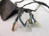 17 X-Pro Hawk 250 Carb Main Wiring Harness *PARTS*