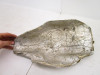 85-86 Honda ATC 350X Gas Fuel Tank Heat Shield #2 17540-HA5-000 1985-1986