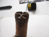 07 Honda CRF 450 X 450X Muffler Exhaust Pipe 18300-MEY-670 2005-2007