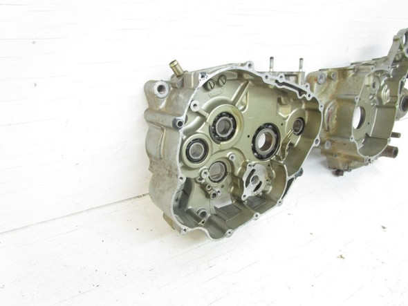 1993-1995 Suzuki DR 250 SE Crankcases Cases Left Right 11301-15815