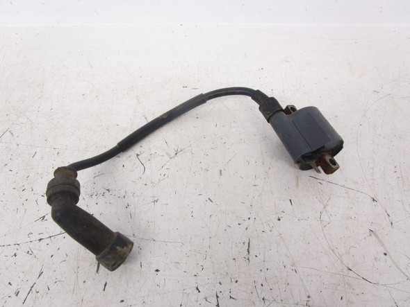 03 Arctic Cat 300 2x4 2wd Ignition Coil 3530-012 1998-2003