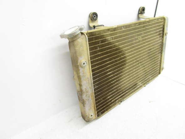 2008-2013 Yamaha Rhino 700 Radiator Cooling 5B4-E2461-00-00