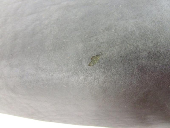 1989-1997 Suzuki GSX 750 F Katana OEM Seat Pan Foam 45100-20C21-58R 1989-1997 Suzuki GSX 750 F Katana OEM Seat Pan Foam 45100-20C21-58R