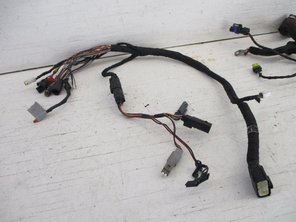 20 Harley Davidson FXST Softail Standard Main Wiring Harness 69201493 2020