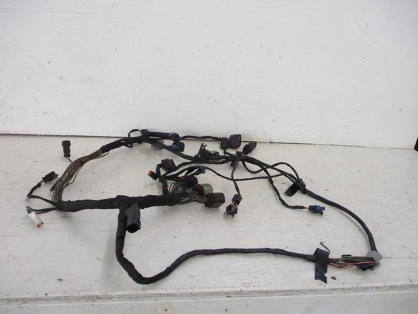 20 Harley Davidson FXST Softail Standard Engine Wiring Harness 69201582 2020
