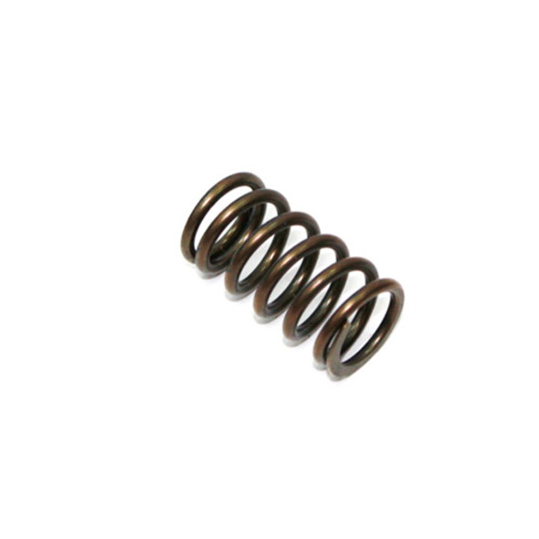 Psychic Exhaust Valve Spring XU-09521S