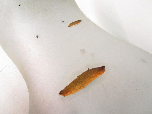 03 Polaris Trail Boss 330 Seat Pan Foam 2683197-070 2003-2009