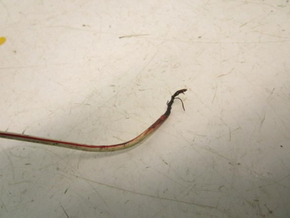 93 Polaris 350L 4x4 Trail Boss Main Wire Wiring Harness *WIRE* 2460402 1993