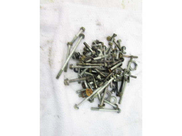 2007-2013 Honda TRX 420 FM Rancher Engine Hardware Nuts Bolts