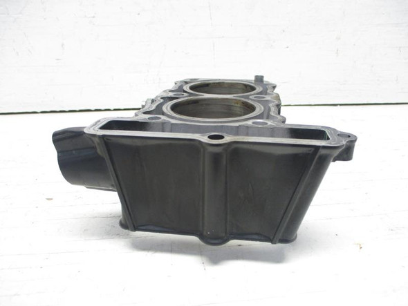 2013-2015 Kawasaki Ninja EX 300 Cylinder Jug 11005-0675