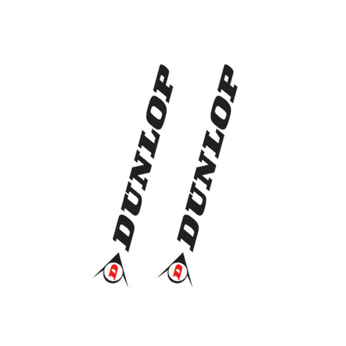 ありがとうございます Factory Effex Dunlop Universal Fork Swingarm Stickers White 02