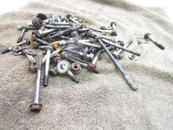 2002-2026 Honda TRX 250 Recon TM Engine Motor Hardware Nuts Bolts
