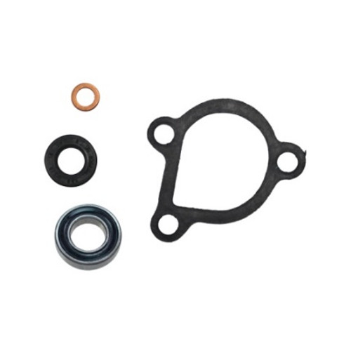 Psychic Water Pump Repair Kit MX-10220