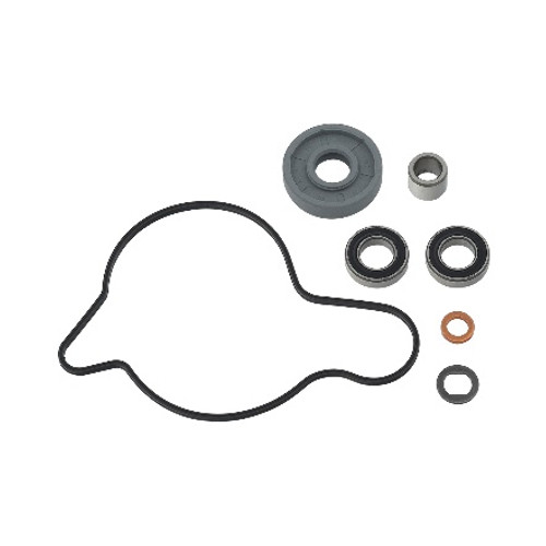 Psychic Water Pump Repair Kit MX-10268