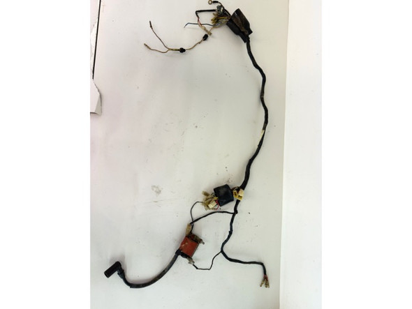 1971-1973 Kawasaki F6 Enduro 125 Main Wiring Harness PARTS ONLY