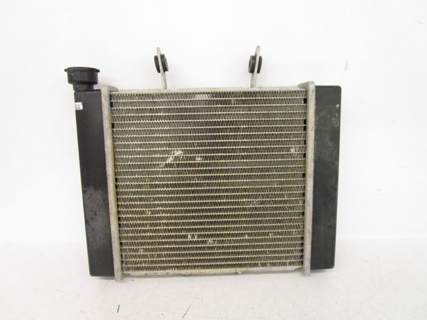 06 Bombardier Rally 175 Radiator Cooling System A19100179000