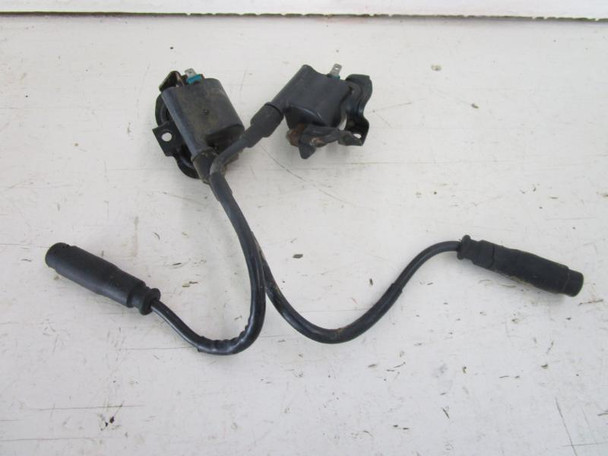 12 Kawasaki KVF 750 Brute Force EPS Ignition Coils 21121-0039 2008-2014