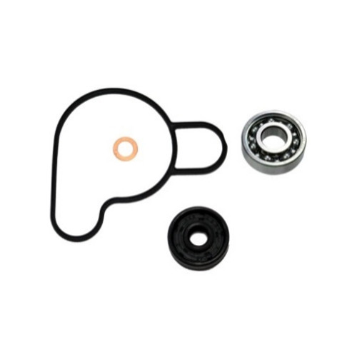 Psychic Water Pump Repair Kit MX-10221