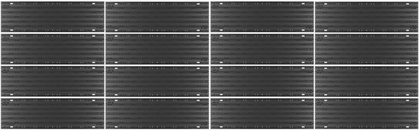 Caliber 40ft 16pc Double Set Standard 9in LowPro Glides Ski Guides 13375