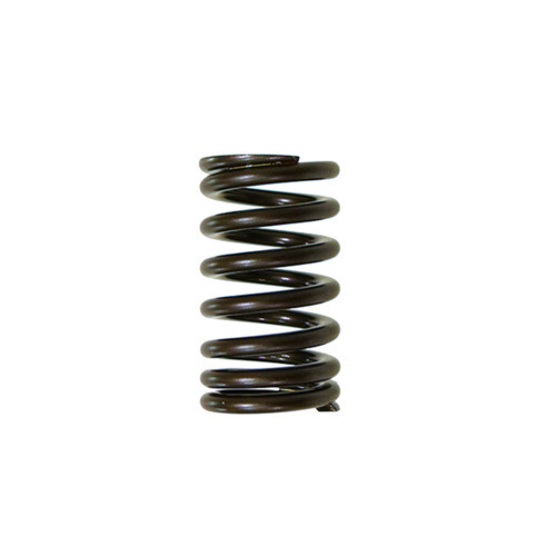 Psychic Intake Valve Spring XU-09541IS for YZ450F 2010-2020 WR450F 2016-2020