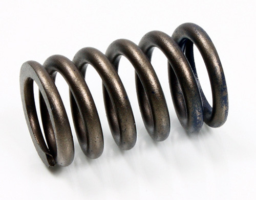 Psychic Intake Valve Spring for CRF450R 02-08 TRX450ER 07-14 TRX450R 06-09