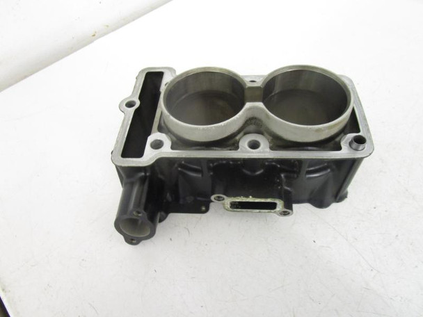 13 Kawaaski EX 300 Ninja Cylinder Jug 11005-0675 2013-2021