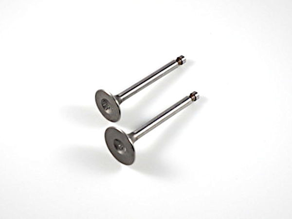 Shindy Intake Exhaust Valve Pair 07-001 for Honda ATC70 TRX70 1978-1987