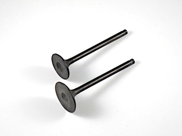 Shindy Intake Exhaust Valve Pair 07-021 for Honda Recon 250 2x4 1997-2001