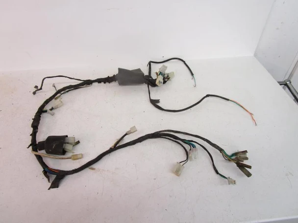 17 X-Pro Hawk 250 Carb Main Wiring Harness *PARTS*