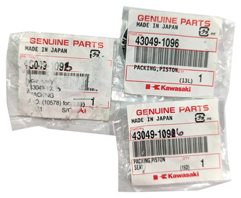 43049-1096_1__36651.1731979593