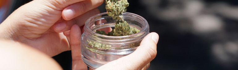 Preparing for the 420 rush! 