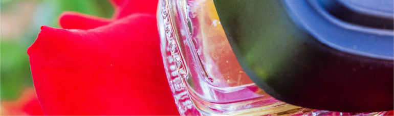 710 – Cannabis Concentration Black Friday