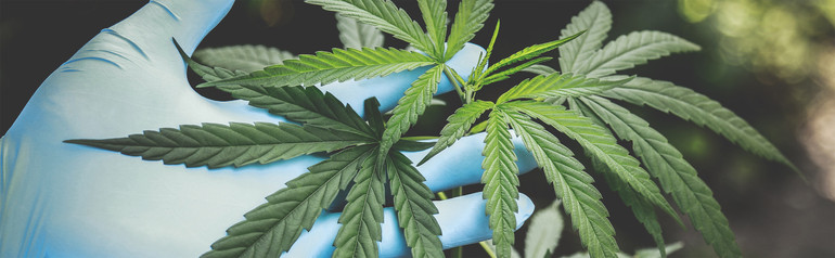 Illinois Cannabis Label & Packaging Requirements