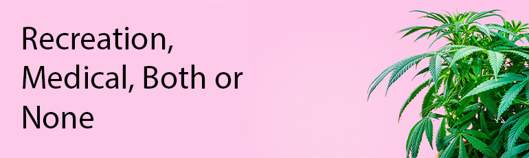 ​Who's Recreation, Medical, Both or None as of 4/2023?