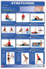 Lower Body Poster