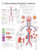 Metabolic Syndrome Poster