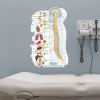Autonomic Nervous System Sticky Wall Poster