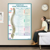 Effects Of Spinal Misalignments Wall Chart
