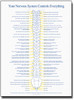 Your Nervous System Chiropractic Poster