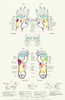 Reflexology Poster