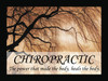 Chiropractic Quote Poster