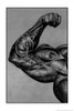Arm Muscle Poster