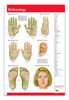 Reflexology Poster