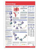 Immunology Poster