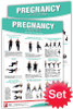 Pregnancy Exercise Posters