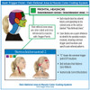 Trigger Points  4 Chart Set