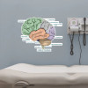 Brain Chart