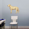 Canine Skeleton Poster