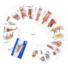 Canine Anatomy and Physiology Charts